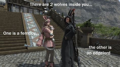 fantasyfemboy twitter|So 2 of my friends fantasia'd into Male Viera : r/ffxiv .